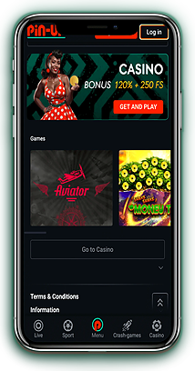 Pin Up App